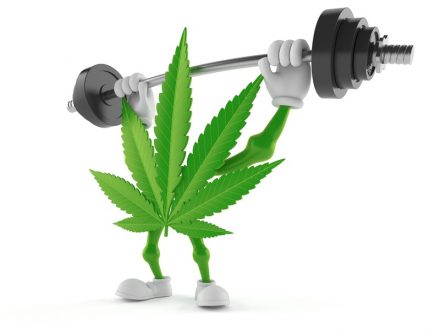 A Guide to CBD Strength Ratings